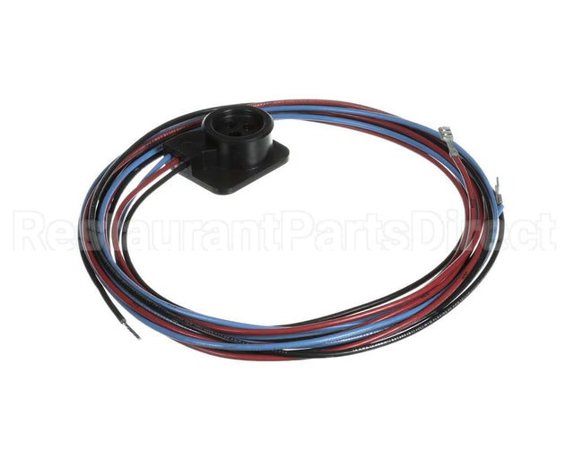 WIR03351 Trane Wire, Scroll Compressor Wiring, Ckt 2