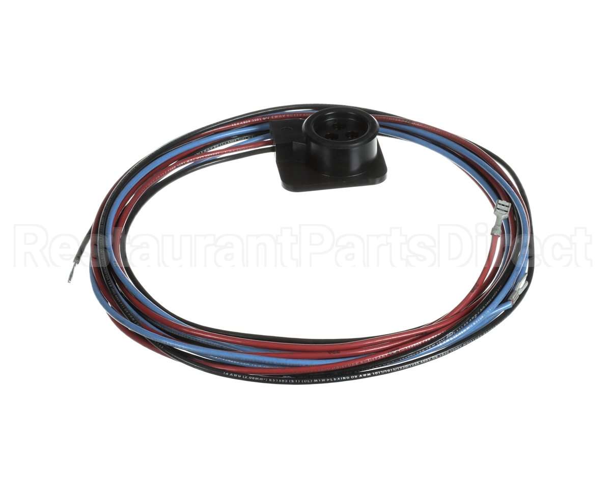 WIR03351 Trane Wire, Scroll Compressor Wiring, Ckt 2
