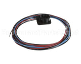WIR03351 Trane Wire, Scroll Compressor Wiring, Ckt 2