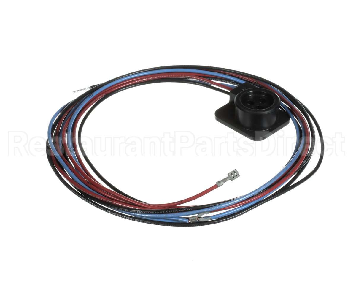 WIR03351 Trane Wire, Scroll Compressor Wiring, Ckt 2