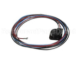 WIR03351 Trane Wire, Scroll Compressor Wiring, Ckt 2