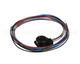 WIR03351 Trane Wire, Scroll Compressor Wiring, Ckt 2