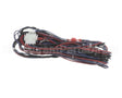 WIR03419 Trane Wire, Harness, Options - Comm-J2 To Rtom