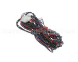 WIR03419 Trane Wire, Harness, Options - Comm-J2 To Rtom