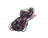 WIR03419 Trane Wire, Harness, Options - Comm-J2 To Rtom