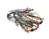 WIR04138 Trane Wire; Harness-Upflow 2 Stage