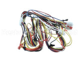 WIR04138 Trane Wire; Harness-Upflow 2 Stage