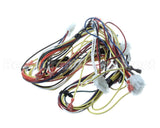 WIR04138 Trane Wire; Harness-Upflow 2 Stage