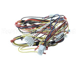 WIR04138 Trane Wire; Harness-Upflow 2 Stage