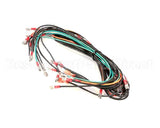 WIR0583SP Frymaster Wire Assembly, Gc/Gbc/Gsms Without Bl