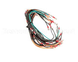 WIR0583SP Frymaster Wire Assembly, Gc/Gbc/Gsms Without Bl