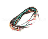 WIR0583SP Frymaster Wire Assembly, Gc/Gbc/Gsms Without Bl