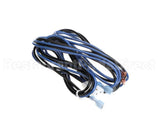 WIR06538 Trane Wire Harness 53"L
