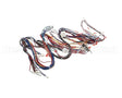 WIR06678 Trane Wire, Harness, Reliatel Controls. Includ
