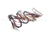 WIR06678 Trane Wire, Harness, Reliatel Controls. Includ