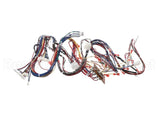 WIR06678 Trane Wire, Harness, Reliatel Controls. Includ