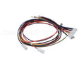 WIR07598 Trane Wire; Harness, 9 Pin To J4 On Dfc