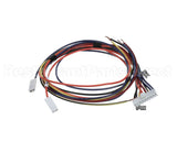 WIR07598 Trane Wire; Harness, 9 Pin To J4 On Dfc