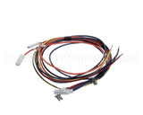 WIR07598 Trane Wire; Harness, 9 Pin To J4 On Dfc