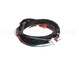 WIR07692 Trane Wire; Harness, Xover Bcxd