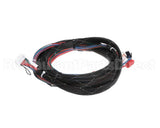 WIR07692 Trane Wire; Harness, Xover Bcxd