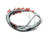 WIR0798 Frymaster Wire Assembly, Gl330 Xfrmr/Fltr Bx