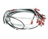 WIR0798 Frymaster Wire Assembly, Gl330 Xfrmr/Fltr Bx