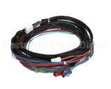 WIR08145 Trane Wire; Harness, Xover Bcxd