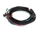 WIR08145 Trane Wire; Harness, Xover Bcxd