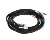 WIR08145 Trane Wire; Harness, Xover Bcxd