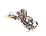 WIR09914 Trane Wire; Harness, Power & Controls