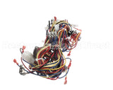 WIR10014 Trane Wire, Harness, Controls - Rtrm Common -