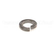 WL-003-13 Hobart Lock Washer