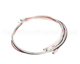 WRHARNESS3 Food Warming Wiring Harness