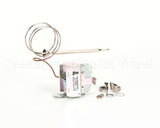 WS-58656 Wells Hi-Limit Man Reset 440F