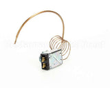 WS-60282 Wells Thermo Control