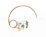 WS-60282 Wells Thermo Control