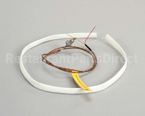 WS-63927 Wells Probe T-Couple 208/240V