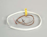 WS-63927 Wells Probe T-Couple 208/240V