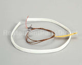 WS-63927 Wells Probe T-Couple 208/240V