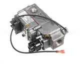 WS-65307 Wells Valve Gas Wg Series Gridd