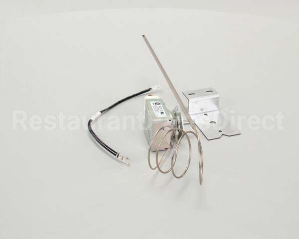 WS-65361 Wells Thermo Control Wgs, Each