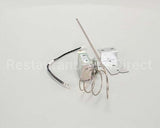 WS-65361 Wells Thermo Control Wgs, Each