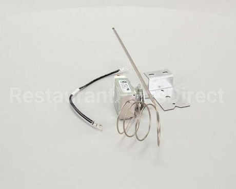 WS-65361 Wells Thermo Control Wgs, Each