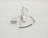 WS-65361 Wells Thermo Control Wgs, Each