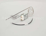 WS-65361 Wells Thermo Control Wgs, Each