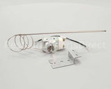 WS-65361 Wells Thermo Control Wgs, Each