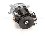 X00558 Globe Motor Replacement Kit