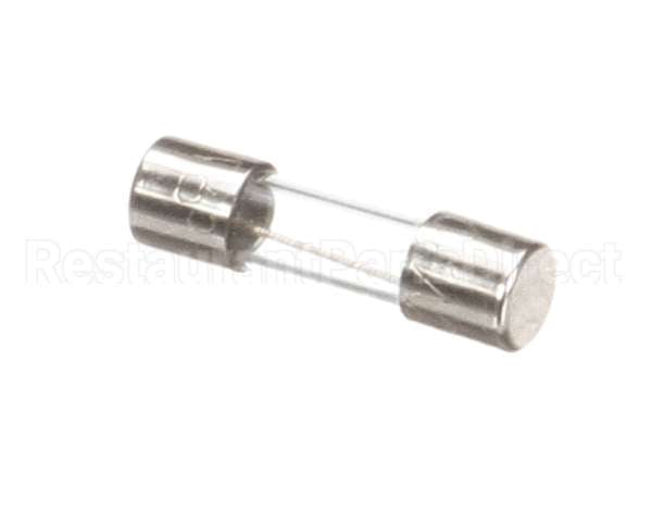 X00570 Globe Control Transformer Fuse