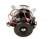 X02069 Globe Motor Assembly